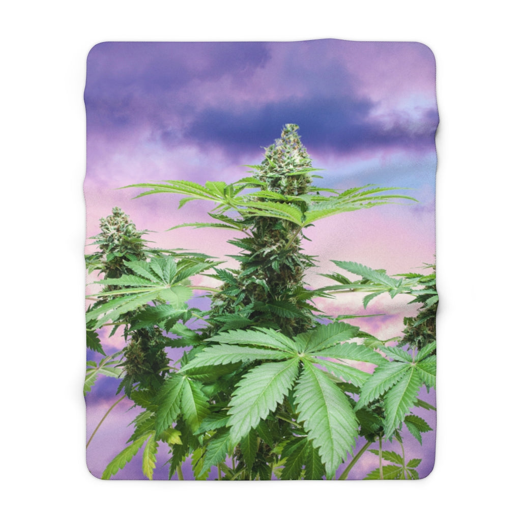 Sono Bella Cannabis Sherpa Fleece Blanket