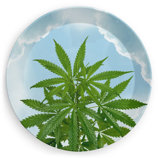 Cannabis Plate