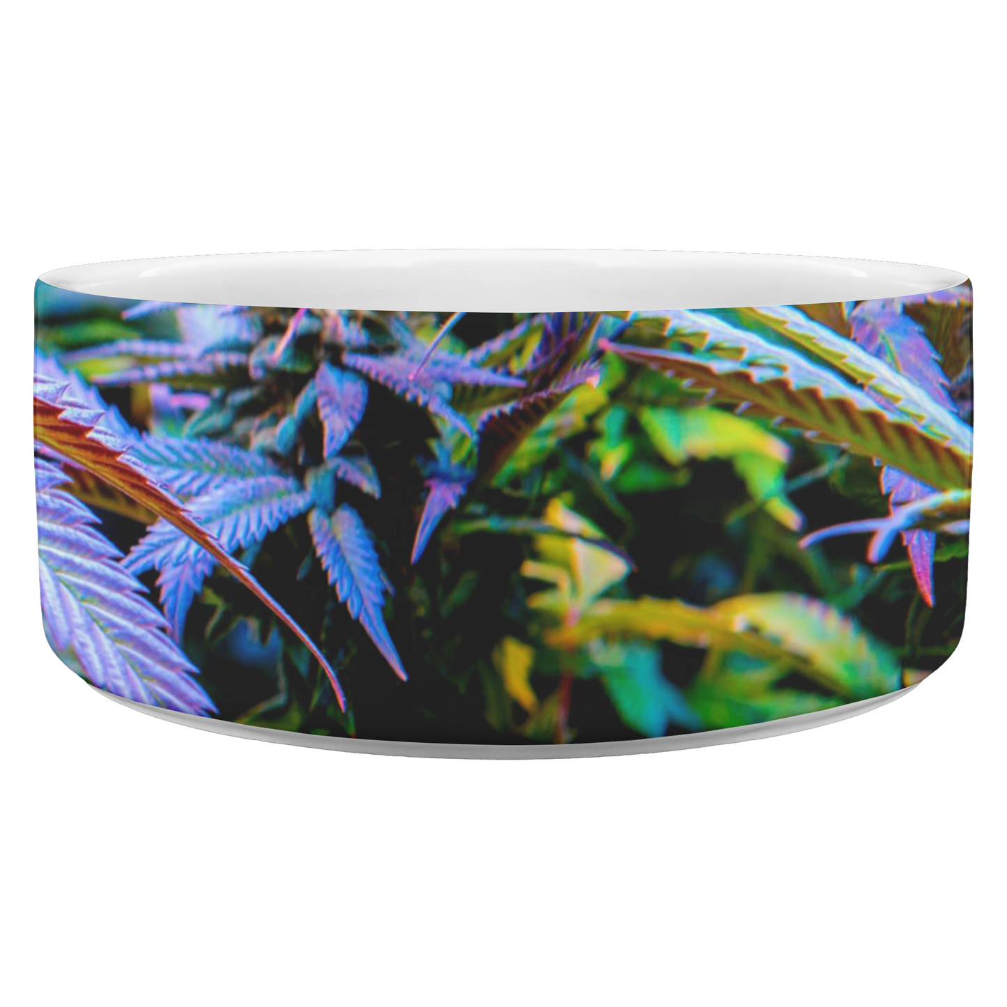 The Rainbow Cannabis Pet Bowl