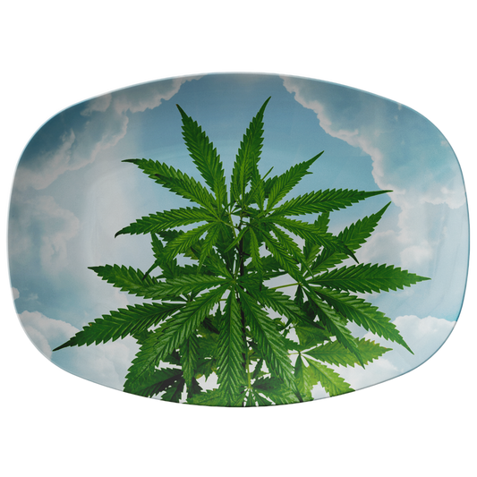 Cannabis Tra Le Nuvole Platter