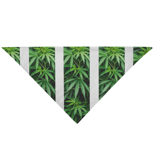 My Cannabis Pet Bandana