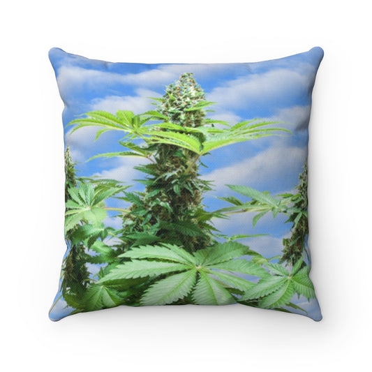 Sono Bella Cannabis Spun Polyester Square Pillow