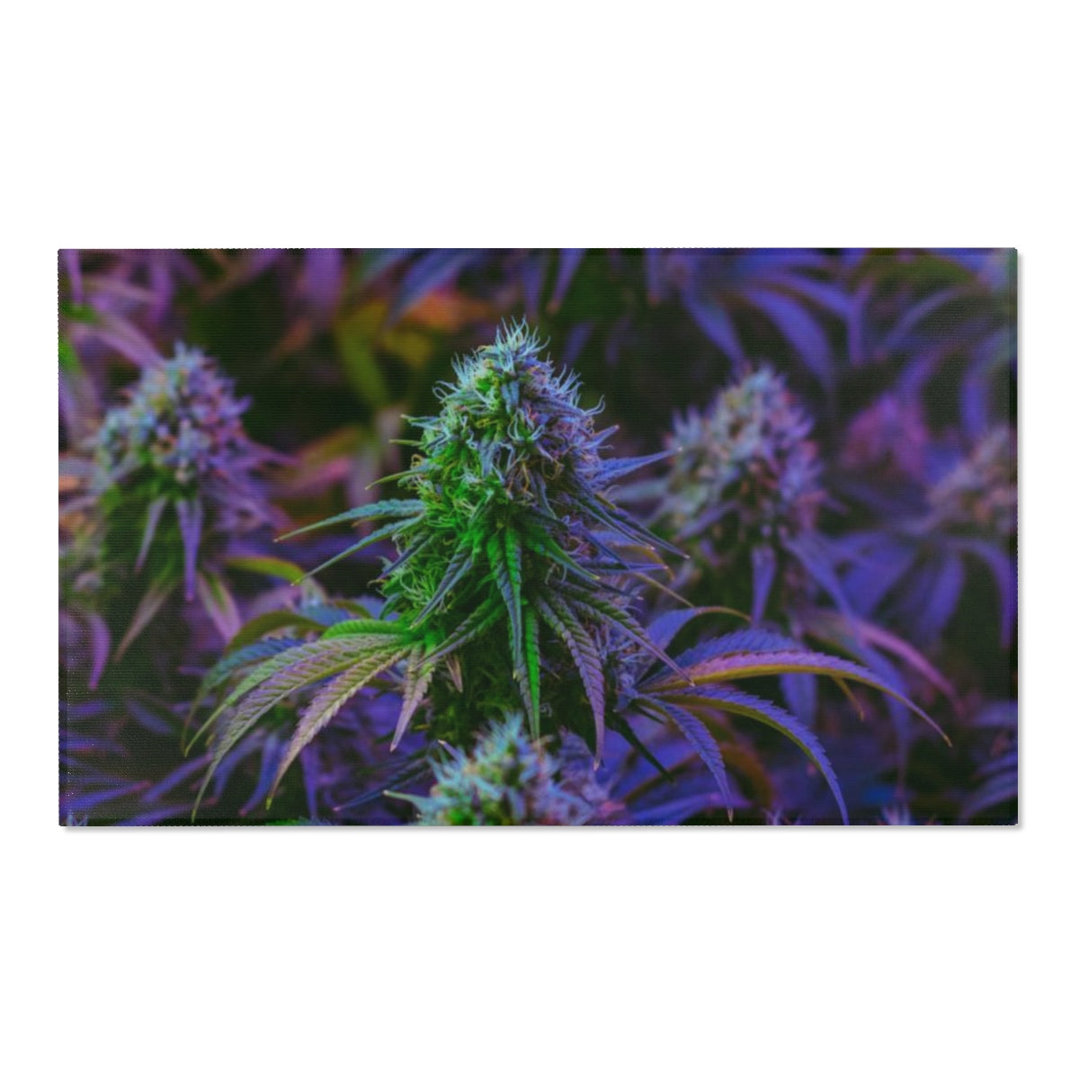 The Purple Cannabis Area Rugs