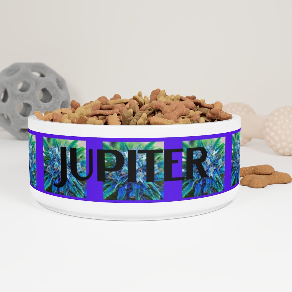 Customizable Catturare La Mia Attenzione Pet Bowl