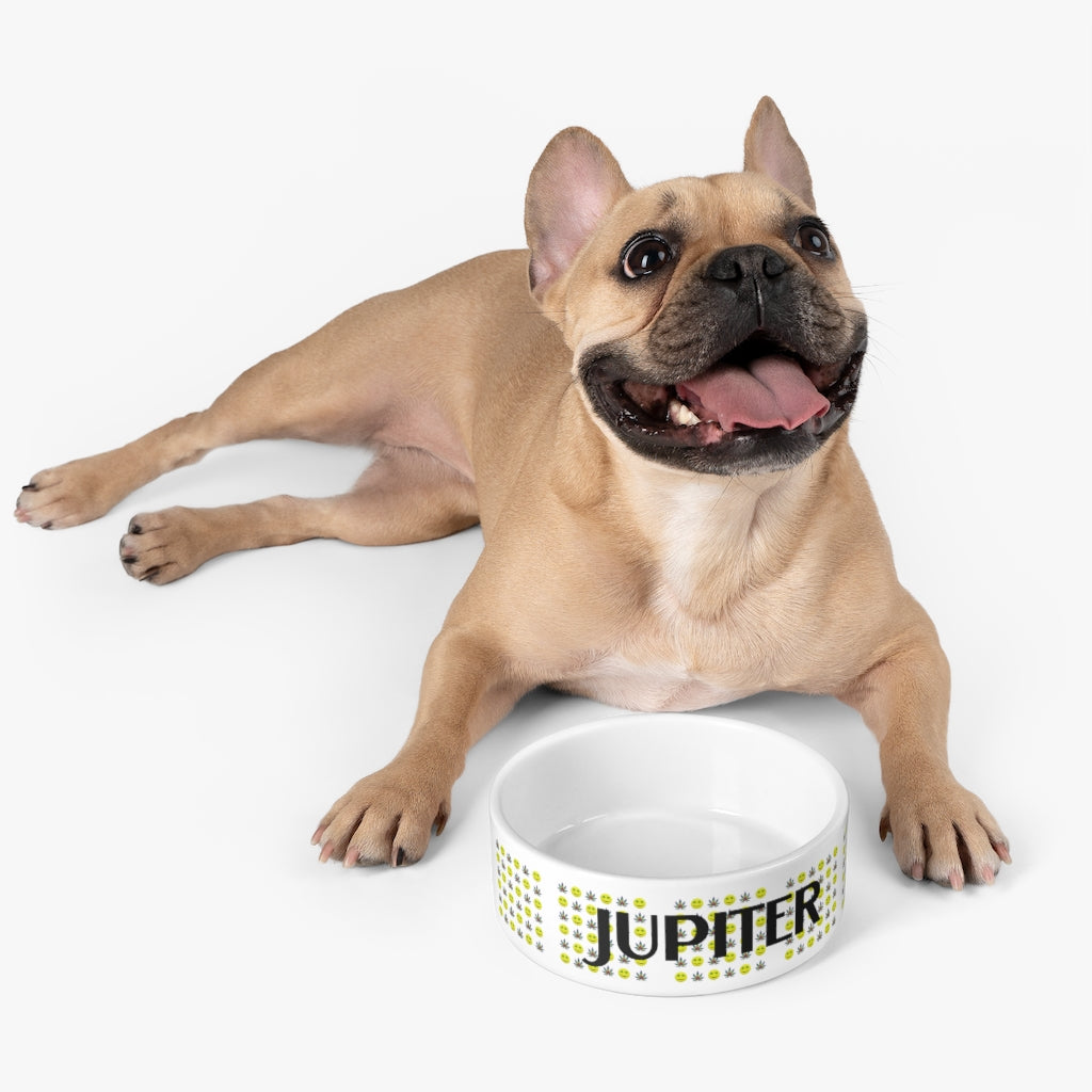 Customizable Cannabis Pet Bowl- Faccina Cannabis Pet Bowl