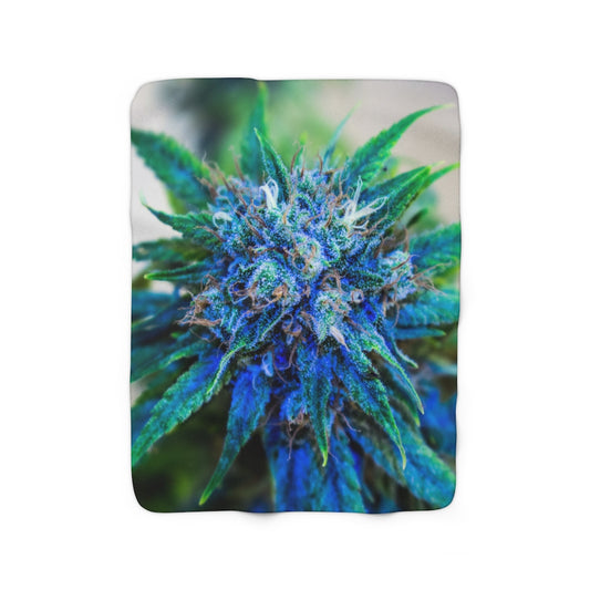 Catturare La Mia Attenzione Cannabis Sherpa Fleece Blanket