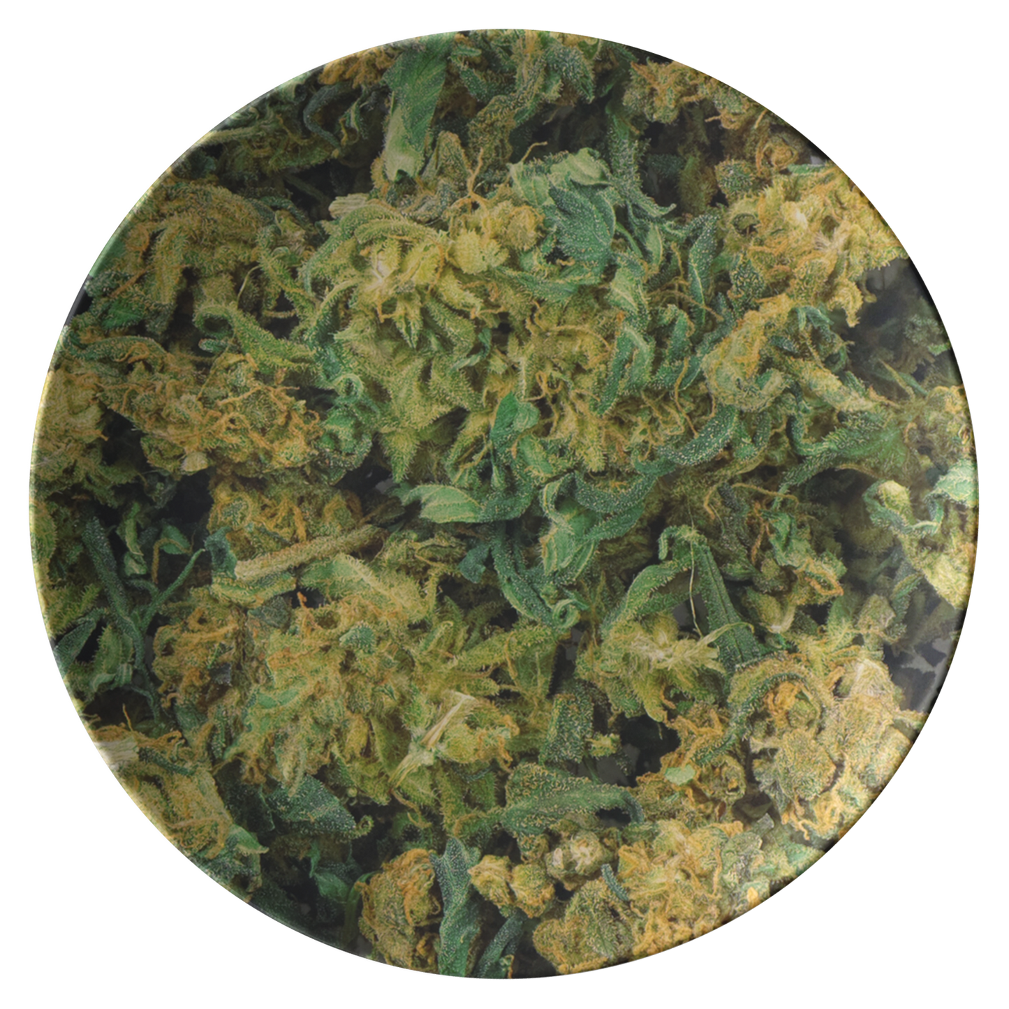 Cannabis Plate