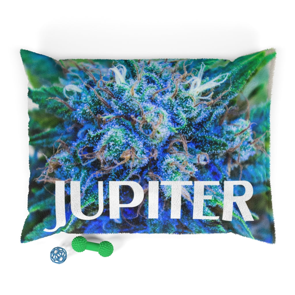 Customizable Cannabis Pet Bed- Catturare La Mia Attenzione Cannabis Pet Bed