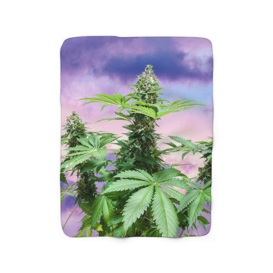 Sono Bella Cannabis Sherpa Fleece Blanket