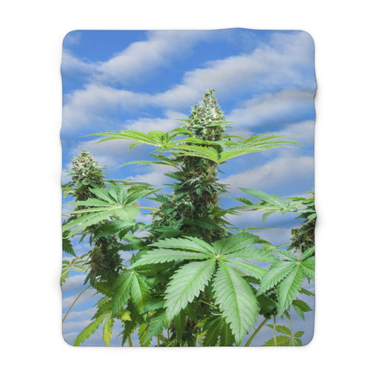 Sono Bella Cannabis Sherpa Fleece Blanket