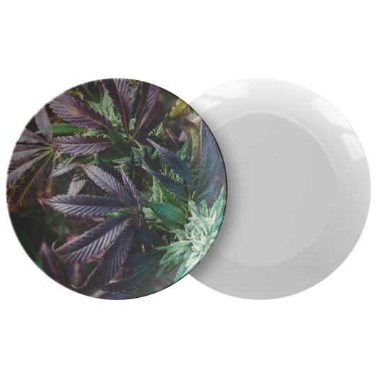 My Cannabis Garden Plate