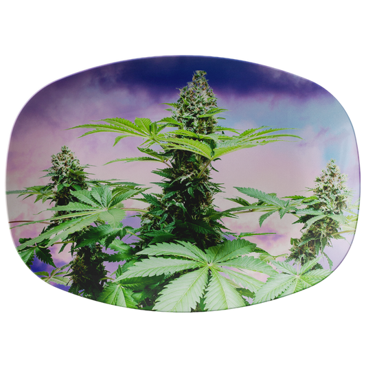 Sono Bella Cannabis Platter