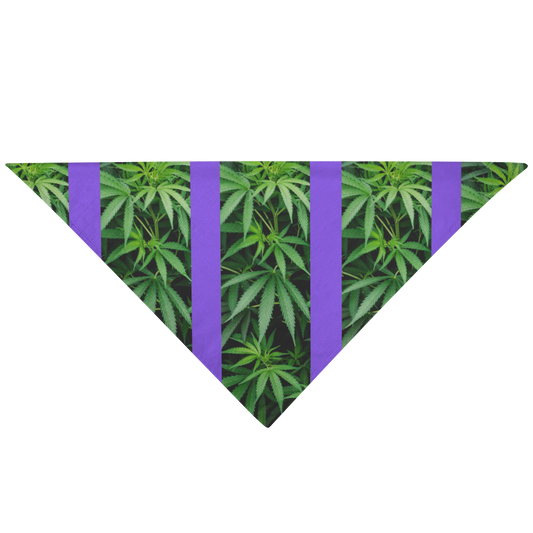 My Cannabis Pet Bandana