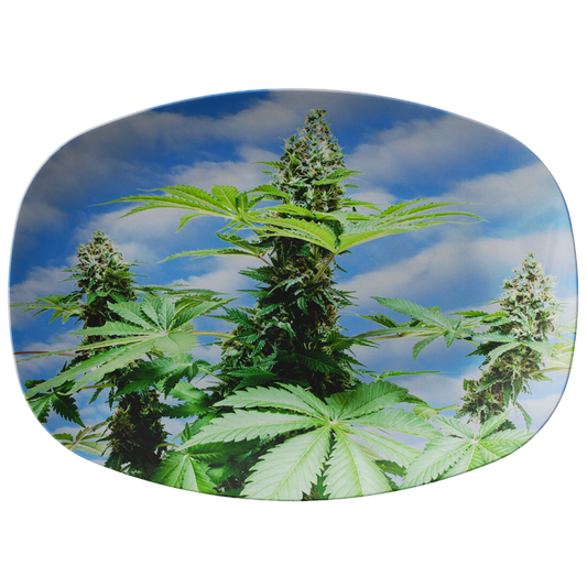 Sono Bella Cannabis Platter